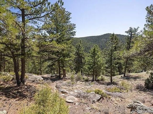 213 Rocky Knob Ln, Nederland, CO 80466