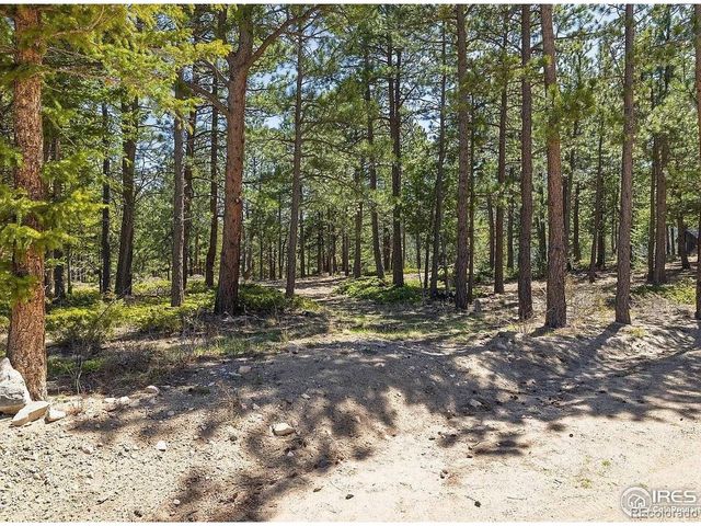 213 Rocky Knob Ln, Nederland, CO 80466