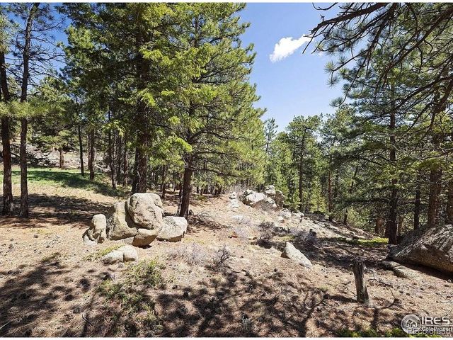 213 Rocky Knob Ln, Nederland, CO 80466
