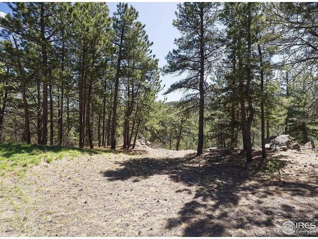 213 Rocky Knob Ln, Nederland, CO 80466