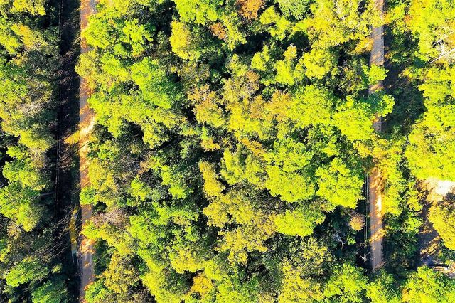 Lot 500-502 Patsy Cline Road, Livingston, TX 77351