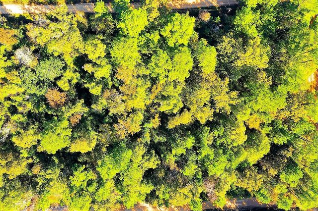 Lot 500-502 Patsy Cline Road, Livingston, TX 77351