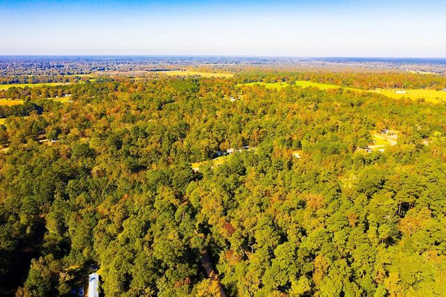 Lot 500-502 Patsy Cline Road, Livingston, TX 77351