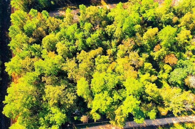 Lot 500-502 Patsy Cline Road, Livingston, TX 77351