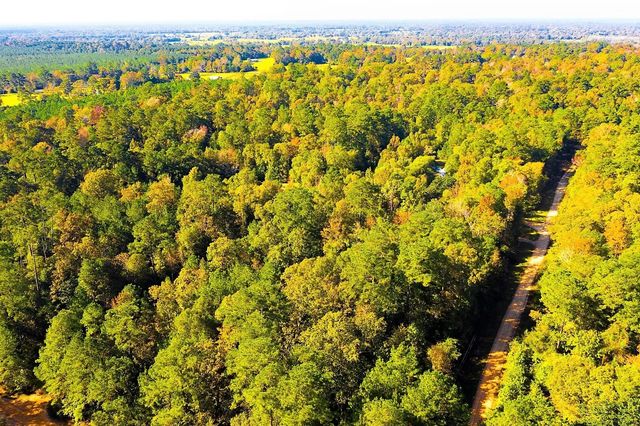 Lot 500-502 Patsy Cline Road, Livingston, TX 77351