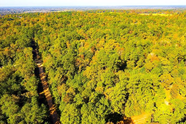 Lot 500-502 Patsy Cline Road, Livingston, TX 77351