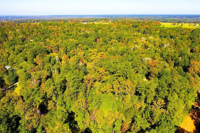 Lot 500-502 Patsy Cline Road, Livingston, TX 77351