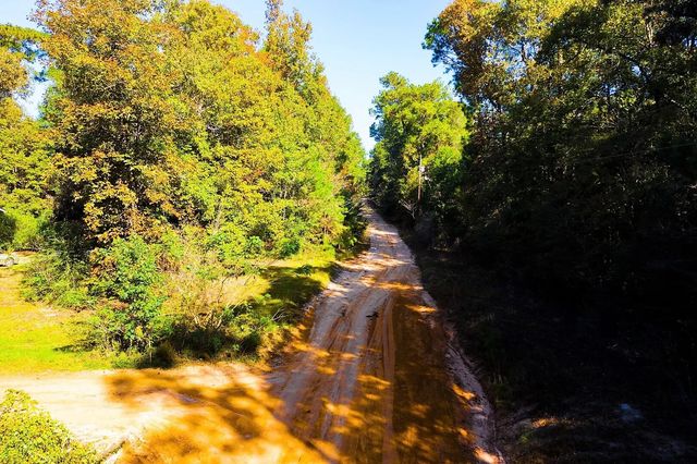 Lot 500-502 Patsy Cline Road, Livingston, TX 77351