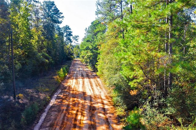 Lot 500-502 Patsy Cline Road, Livingston, TX 77351