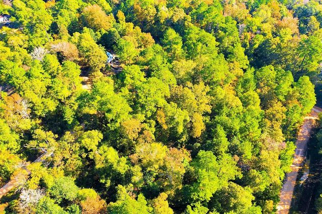 Lot 500-502 Patsy Cline Road, Livingston, TX 77351