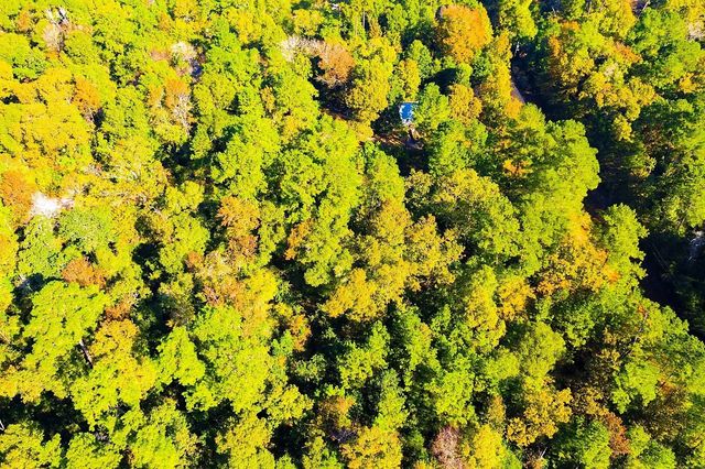 Lot 500-502 Patsy Cline Road, Livingston, TX 77351