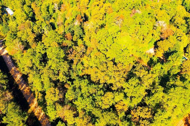 Lot 500-502 Patsy Cline Road, Livingston, TX 77351