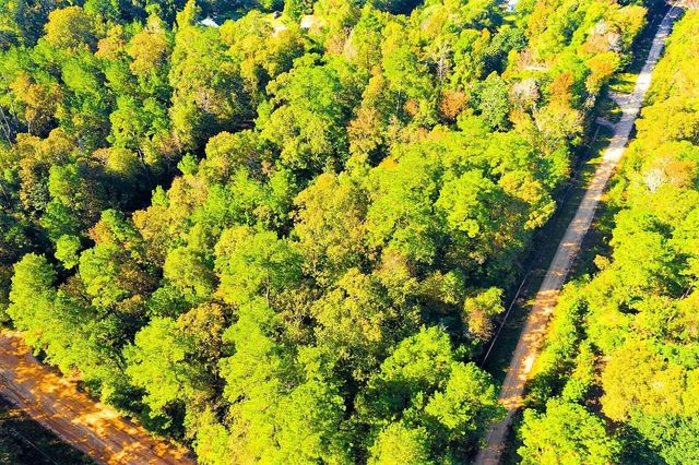 Lot 500-502 Patsy Cline Road, Livingston, TX 77351