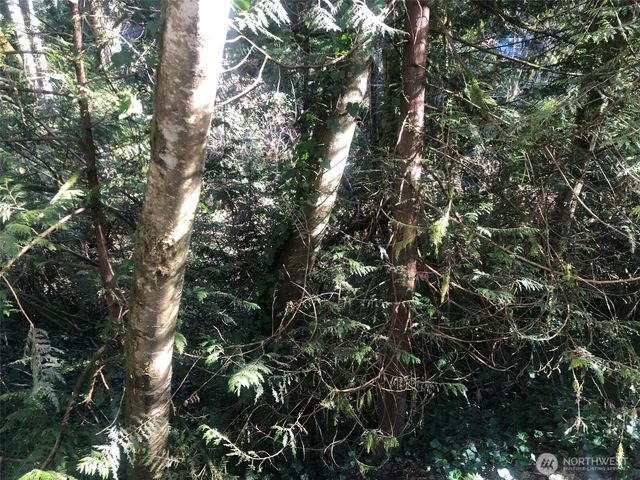 2800 Westwood Drive NW, Olympia, WA 98502