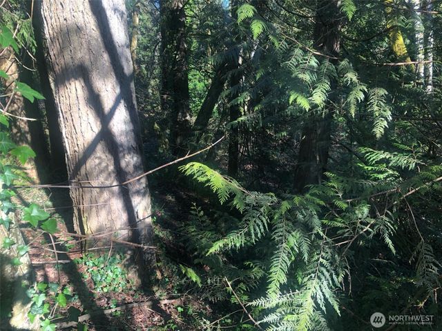 2800 Westwood Drive NW, Olympia, WA 98502