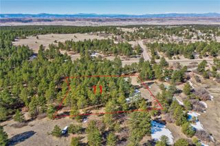 8988 Tanglewood Road, Franktown, CO 80116