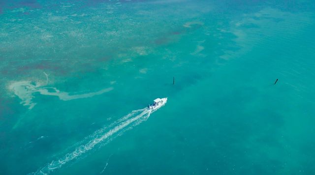 165 Bayview Drive, Lower Matecumbe, FL 33036