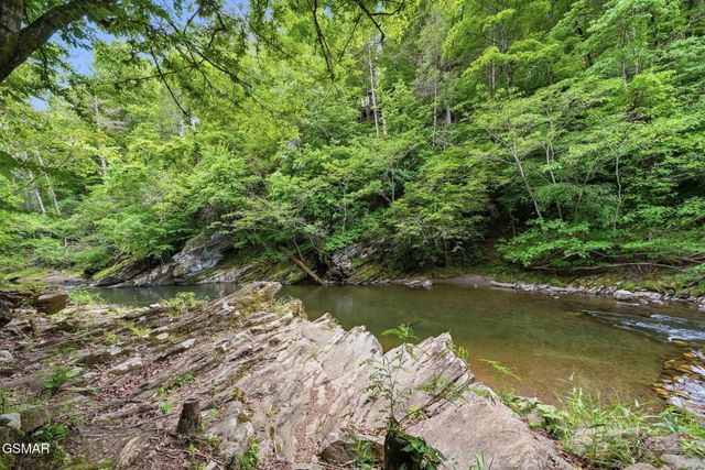 1563 Grant Road, Sevierville, TN 37876