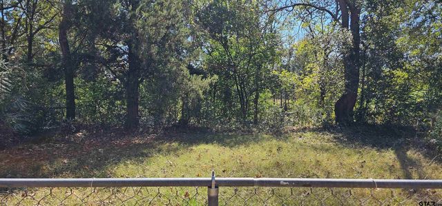 1713 W FRANK, Grand Saline, TX 75140