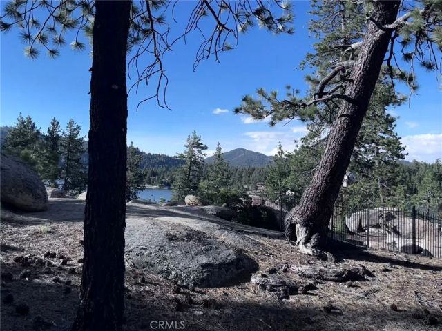 831 Cove Drive, Big Bear Lake, CA 92315