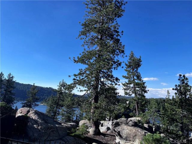 831 Cove Drive, Big Bear Lake, CA 92315