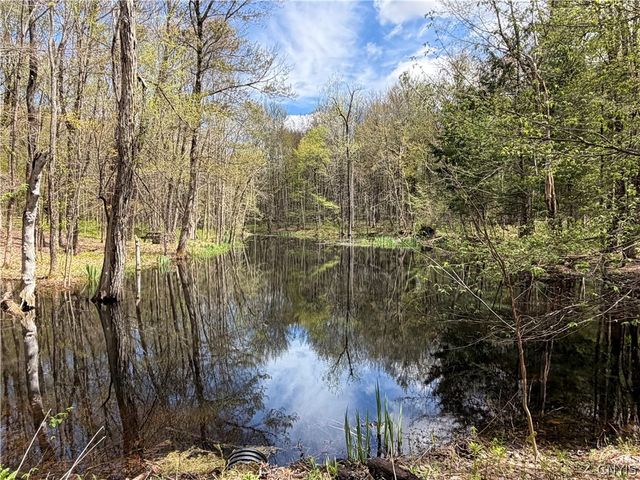 7095 Townline Road, Western, NY 13440