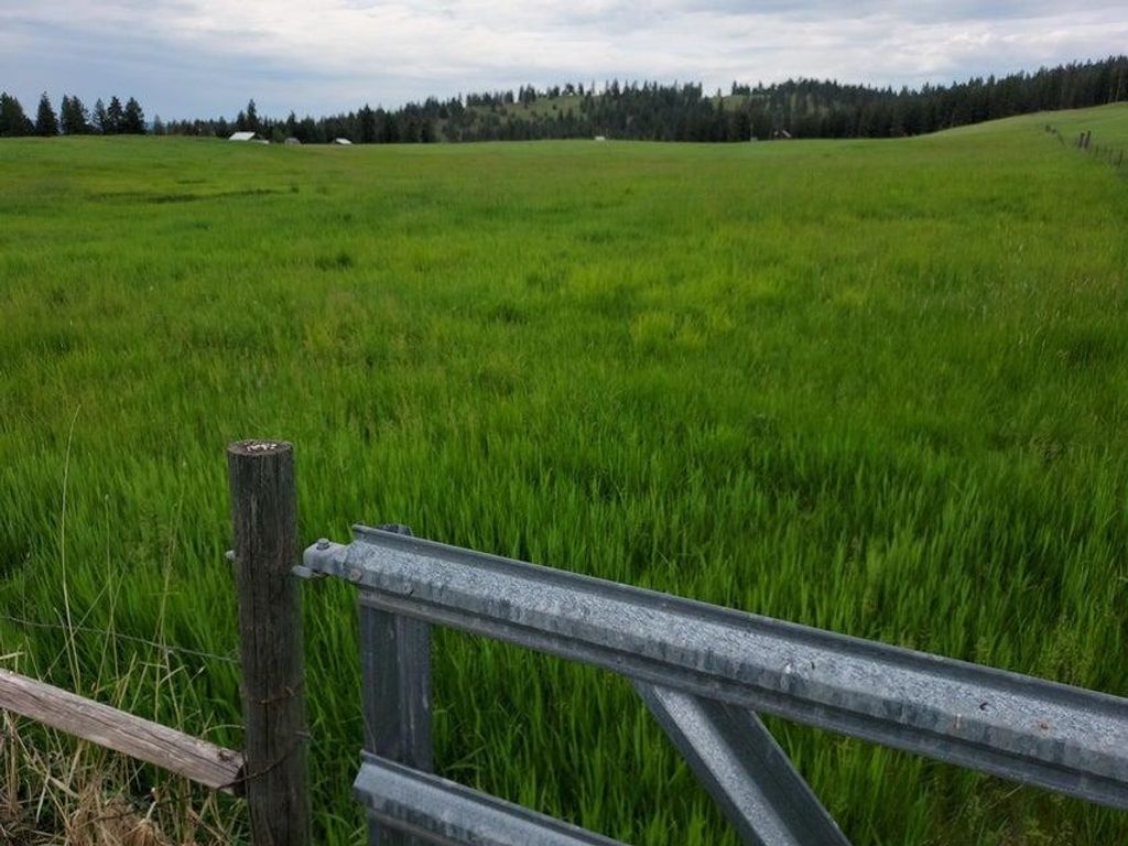 47 Old Ranch House Rd, Republic, WA 99166