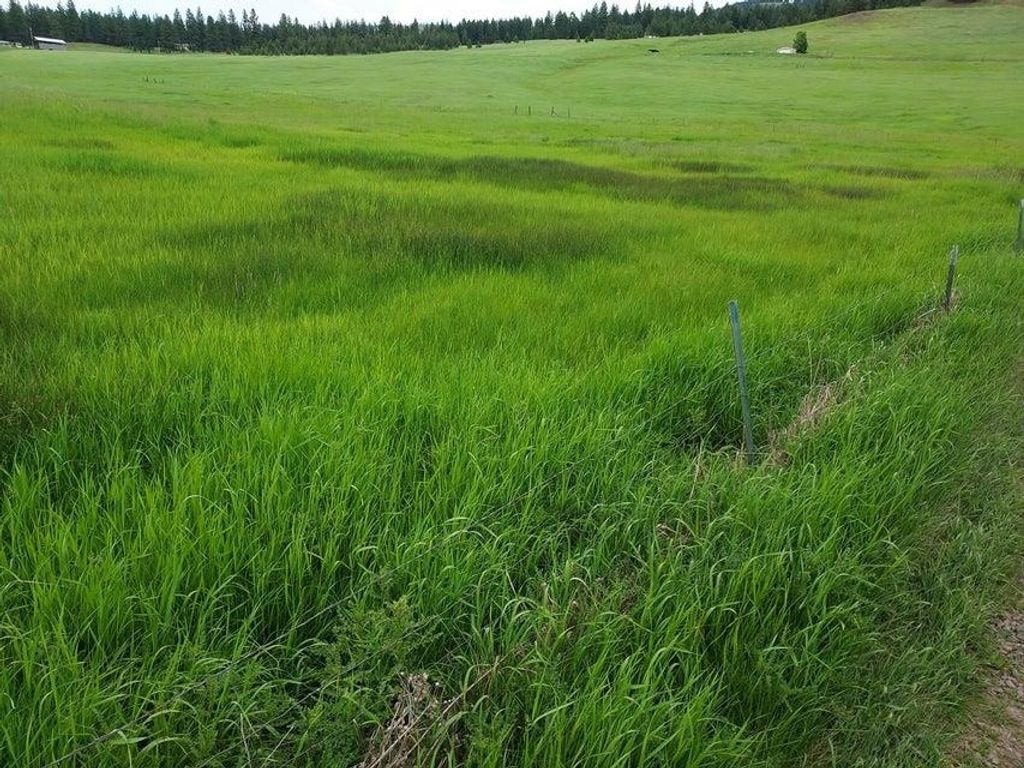 47 Old Ranch House Rd, Republic, WA 99166 photo 2