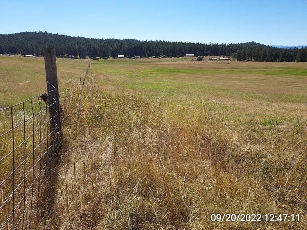 47 Old Ranch House Rd, Republic, WA 99166 photo 11