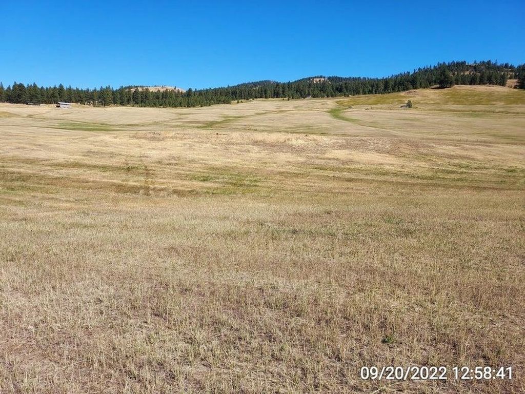 47 Old Ranch House Rd, Republic, WA 99166 photo 20