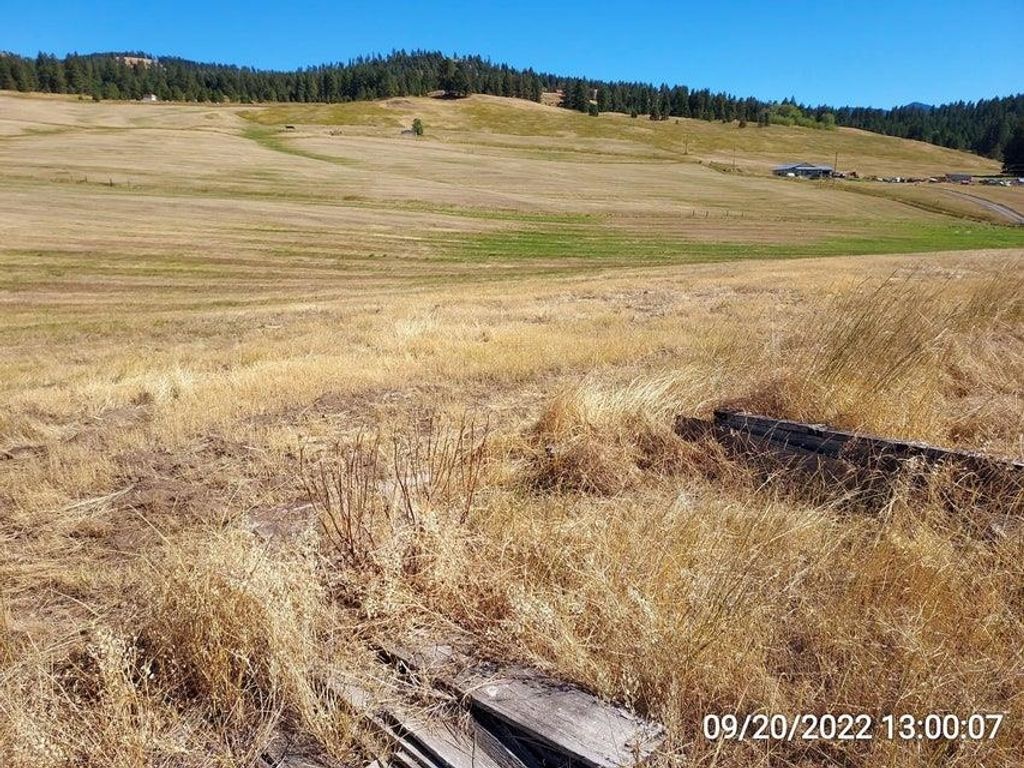 47 Old Ranch House Rd, Republic, WA 99166 photo 22