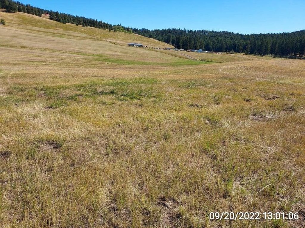 47 Old Ranch House Rd, Republic, WA 99166 photo 23