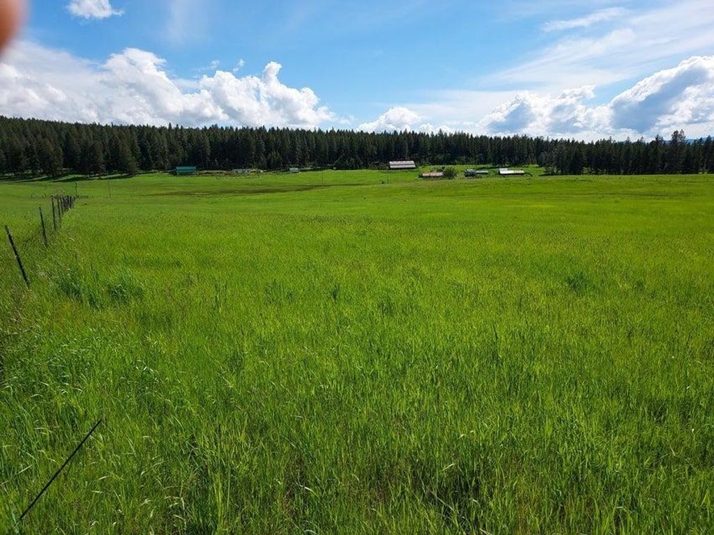 47 Old Ranch House Rd, Republic, WA 99166 photo 29