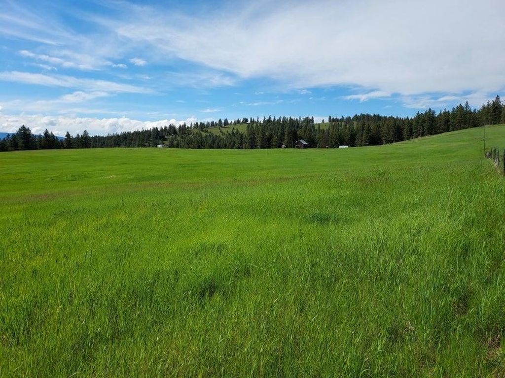 47 Old Ranch House Rd, Republic, WA 99166 photo 30