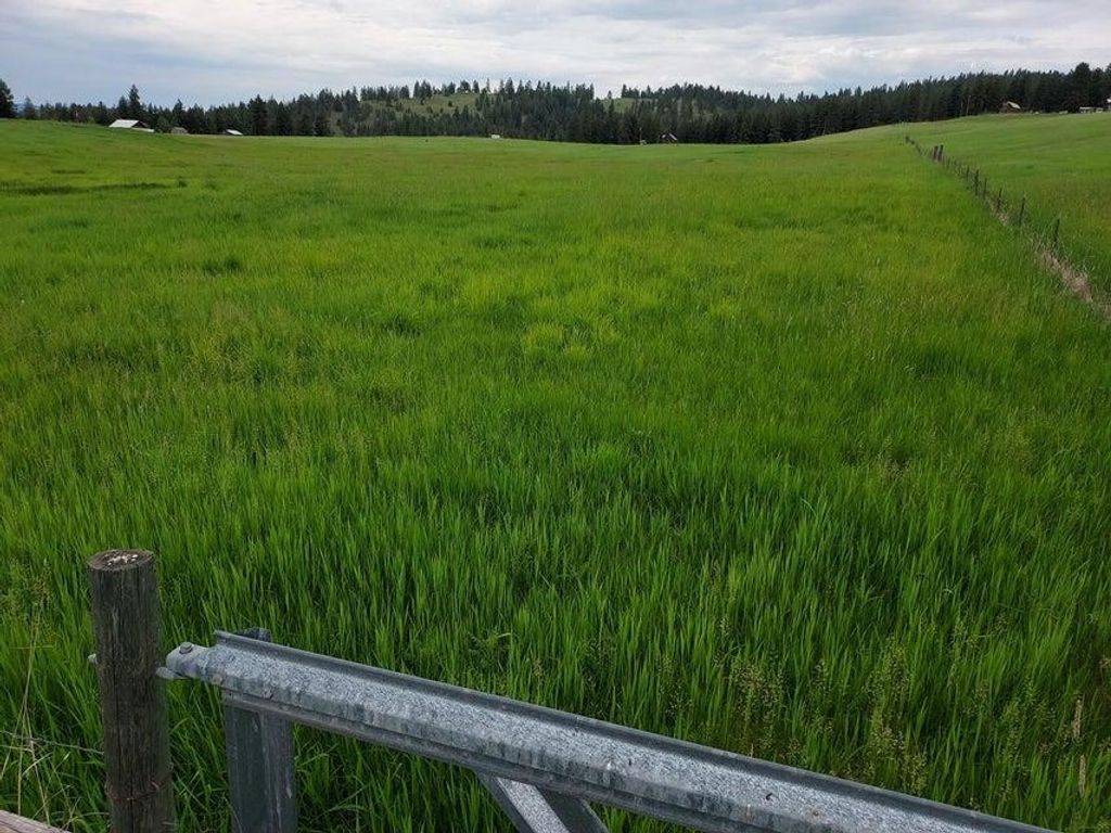 47 Old Ranch House Rd, Republic, WA 99166 photo 6