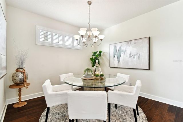 20109 SORANO HILL PLACE, Tampa, FL 33647