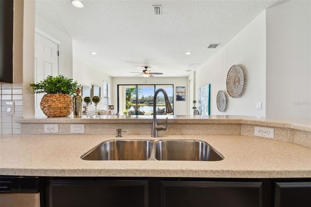 20109 SORANO HILL PLACE, Tampa, FL 33647