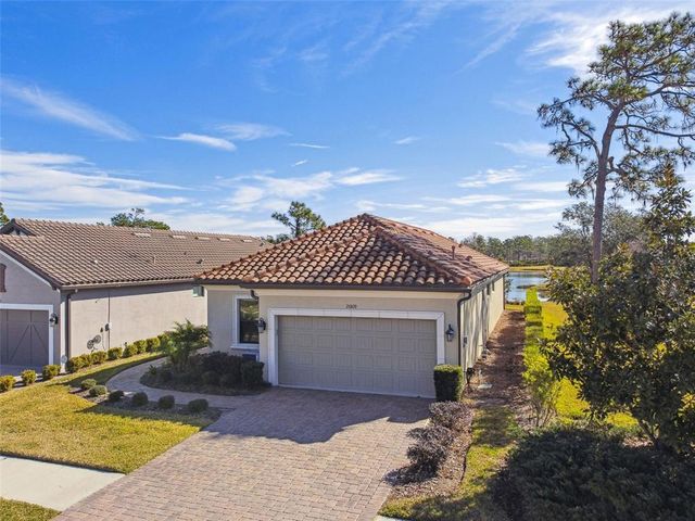20109 SORANO HILL PLACE, Tampa, FL 33647