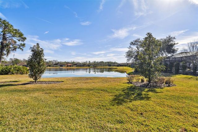 20109 SORANO HILL PLACE, Tampa, FL 33647