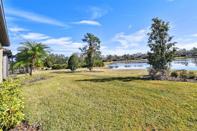 20109 SORANO HILL PLACE, Tampa, FL 33647