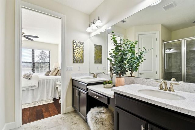 20109 SORANO HILL PLACE, Tampa, FL 33647