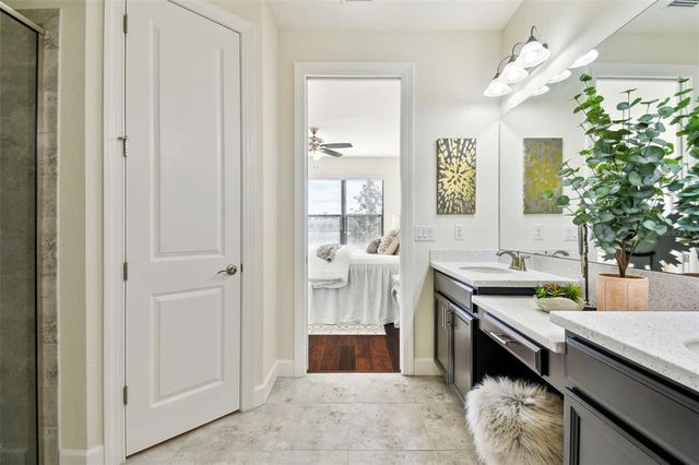 20109 SORANO HILL PLACE, Tampa, FL 33647