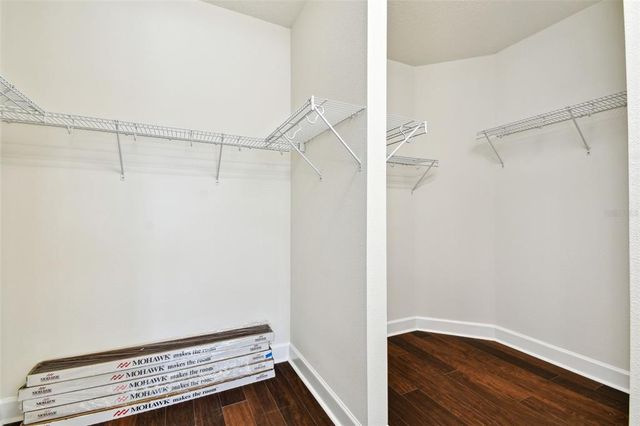 20109 SORANO HILL PLACE, Tampa, FL 33647