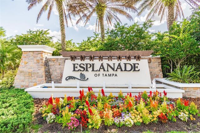 20109 SORANO HILL PLACE, Tampa, FL 33647