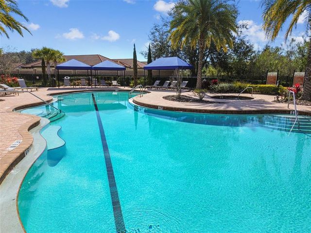 20109 SORANO HILL PLACE, Tampa, FL 33647
