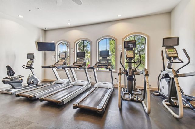 20109 SORANO HILL PLACE, Tampa, FL 33647