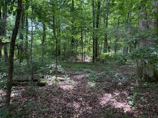 0 Cross Keys Road, College Grove, TN 37046