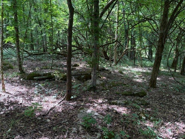 0 Cross Keys Road, College Grove, TN 37046