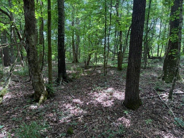 0 Cross Keys Road, College Grove, TN 37046
