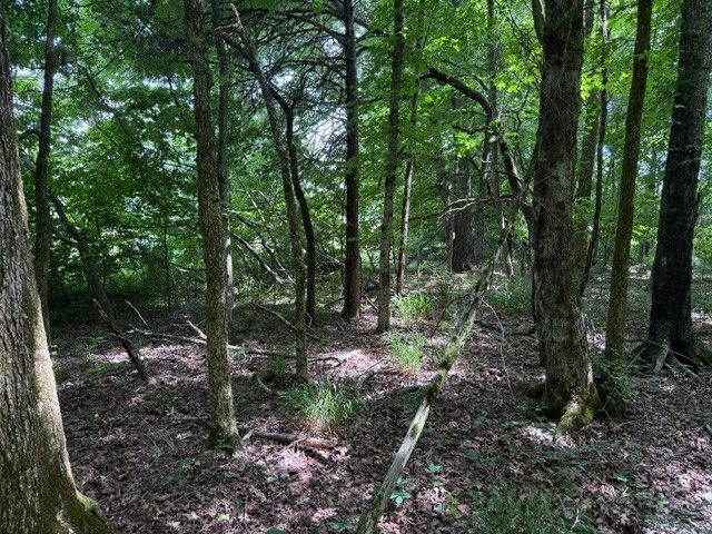0 Cross Keys Road, College Grove, TN 37046